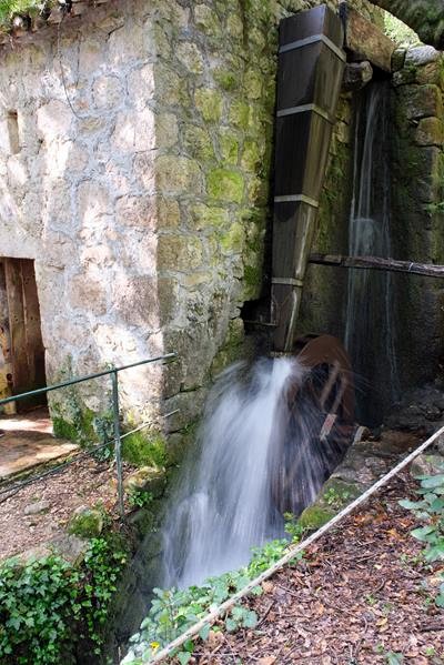 Copie 0 dscf6243 2