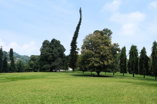 Copie 0 dscf6336