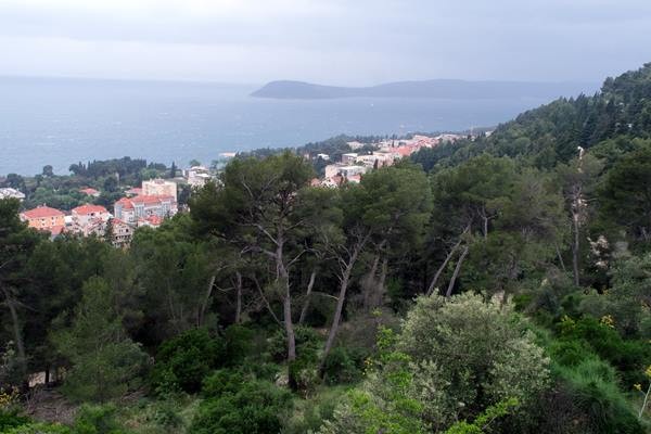Copie 0 dscf6567