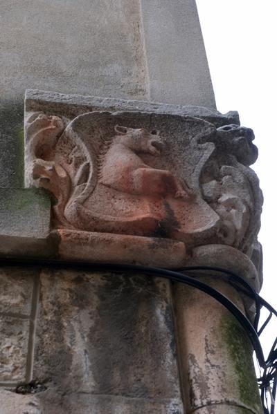 Copie 0 dscf6675