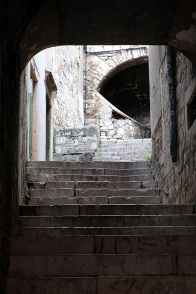 Copie 0 dscf6695
