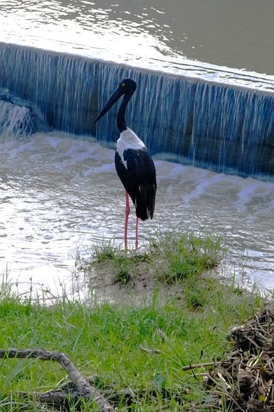 Copie 0 dscf6843 1