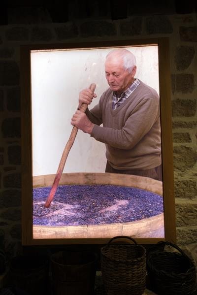 Dégustation à la cave coopérative du PLAVAC MALI