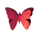 2024 05 09 papillon rouge png modifie