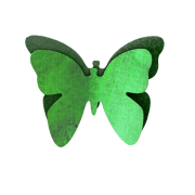 2024 05 09 papillon vert png modifie
